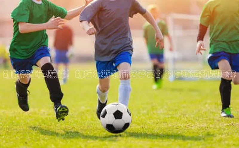 米乐yy易游下载官网神思电子胡姆态重返巅峰！胡梅尔斯领衔名字带胡的足球运动员阵容