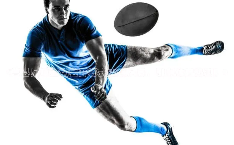 yy易游mile百度大脑<曹县足球运动会开幕式震撼启幕，引领体育热潮！>