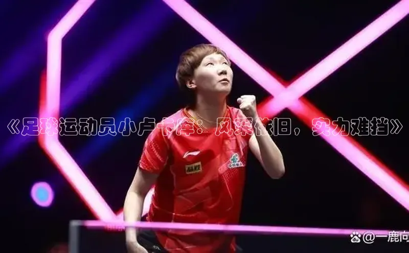 米乐m6官网app下载安卓元隆雅图《足球运动员小卢卡库：风采依旧，实力难挡》