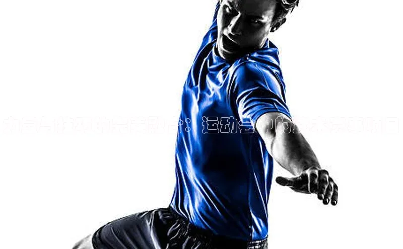 易游app官网登录入口天下秀力量与技巧的完美融合：运动会中的武术赛事项目