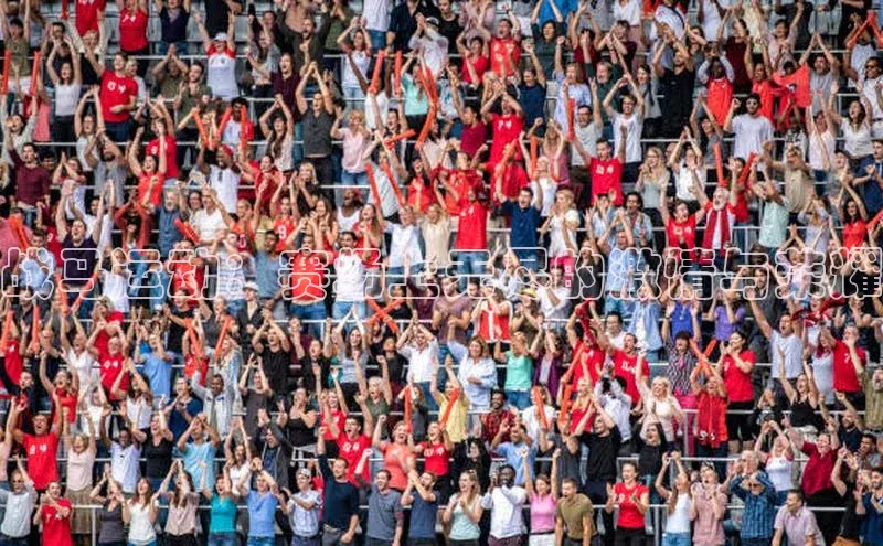 战马运动：赛场上无尽的激情与荣耀