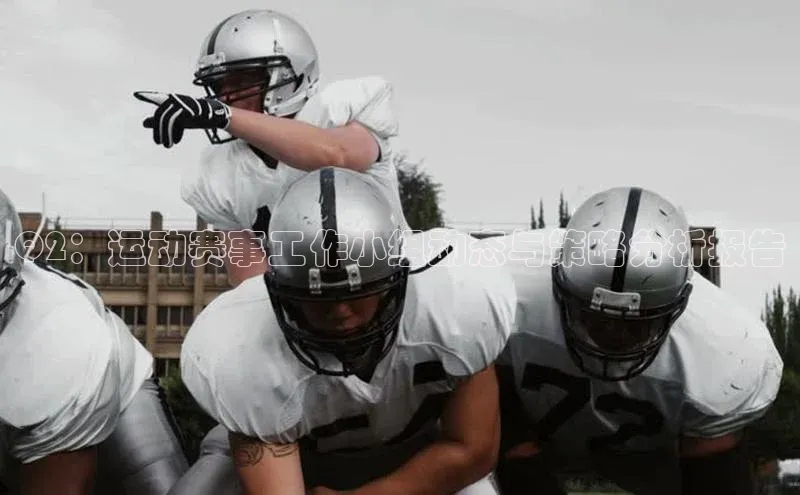 Q2：运动赛事工作小组动态与策略分析报告