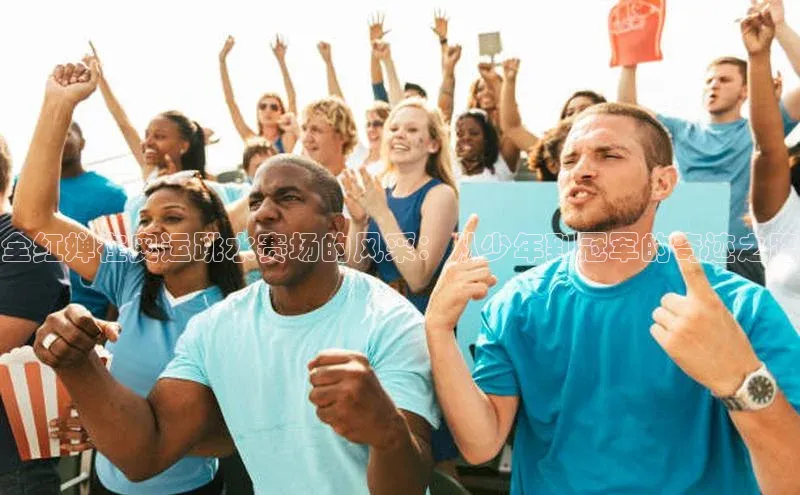 全红婵在奥运跳水赛场的风采：从少年到冠军的奇迹之路