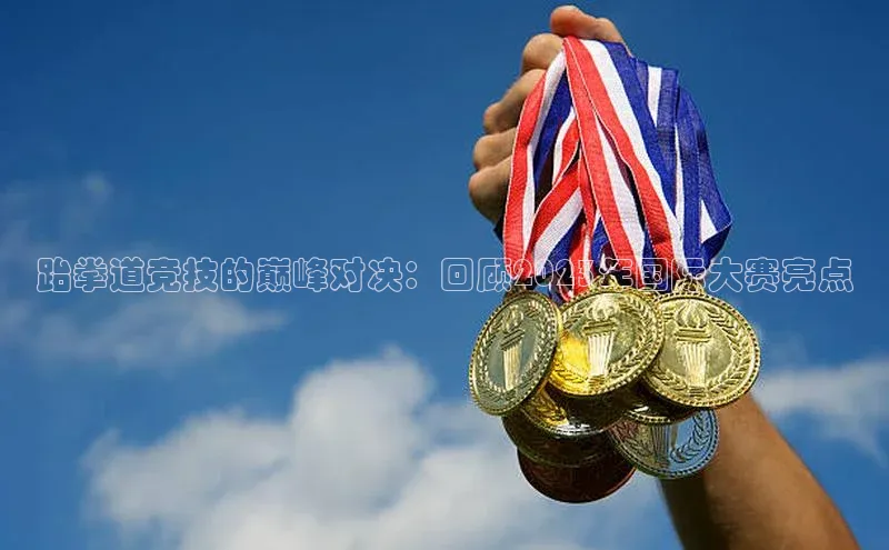 跆拳道竞技的巅峰对决：回顾2023年国际大赛亮点