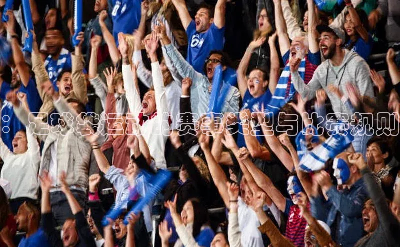 ：足球袋运动的赛事类型与比赛规则