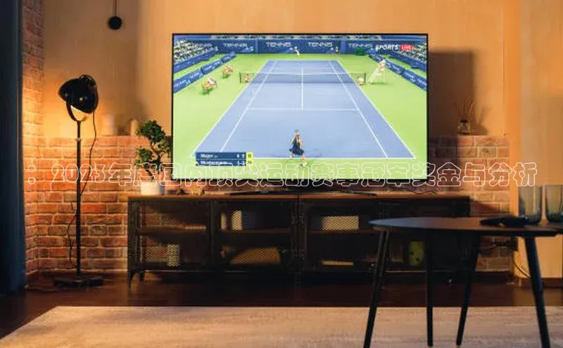 ：2023年度国内顶尖运动赛事冠军奖金与分析