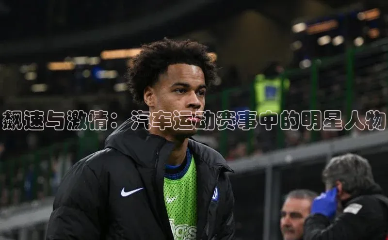 飙速与激情：汽车运动赛事中的明星人物