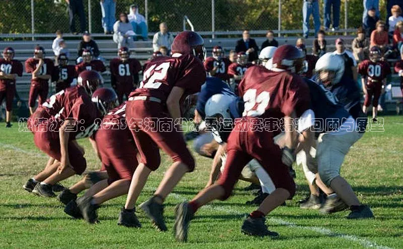 燃情冰雪：2023年河南省冰雪运动赛事精彩回顾与展望